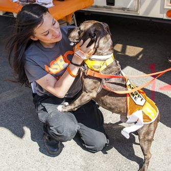 5 Ways YOU Can Volunteer to Help Animals!