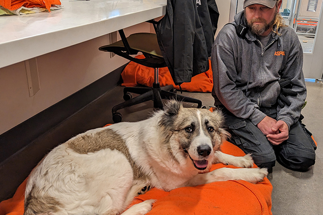 Russet, mother of the “potato” litter, with Jeff Brachmann