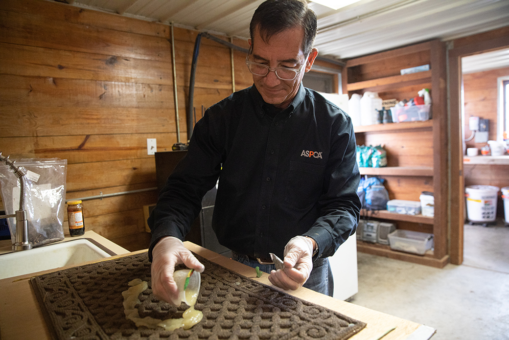 a man pouring apple sauce on a mat