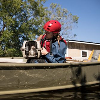 ASPCA Experts Give an Inside Look into Our Disaster Response Efforts 