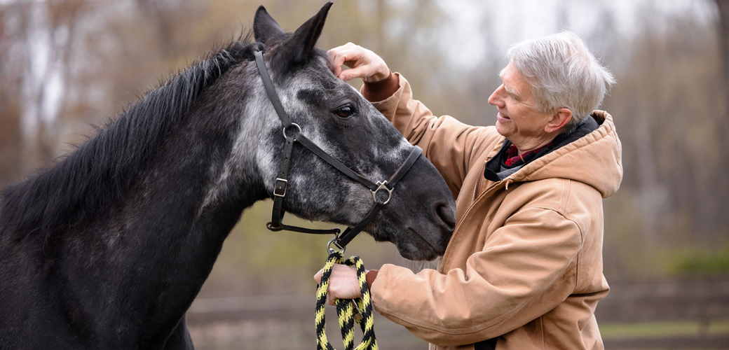 Man petting horse