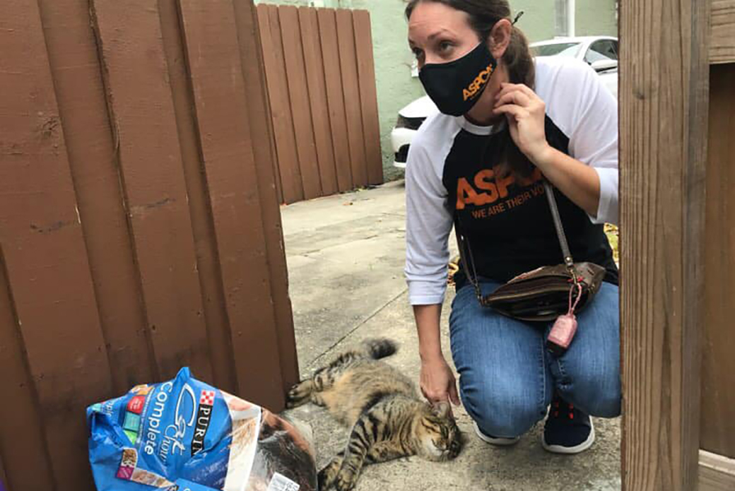 Cassie with one of Tony's cats