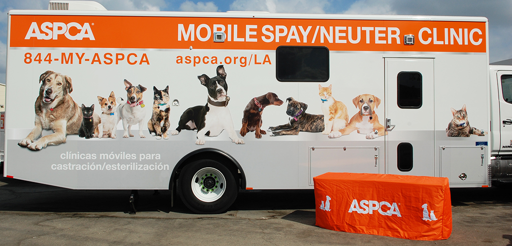 mobile clinic LA