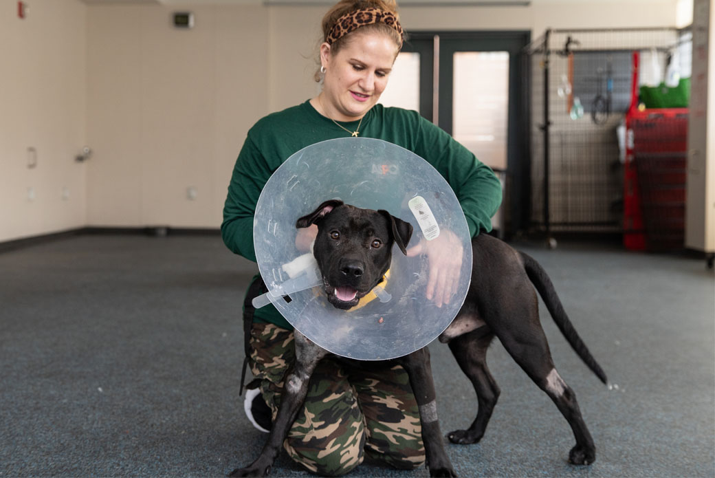 Woman holding dog with cone