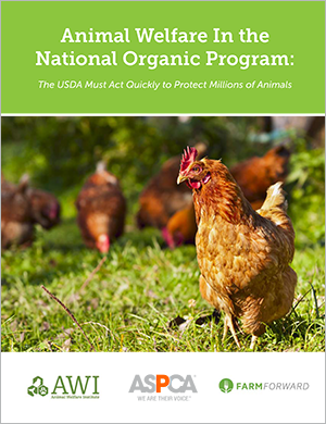 Animal Welfare In the  National Organic Program