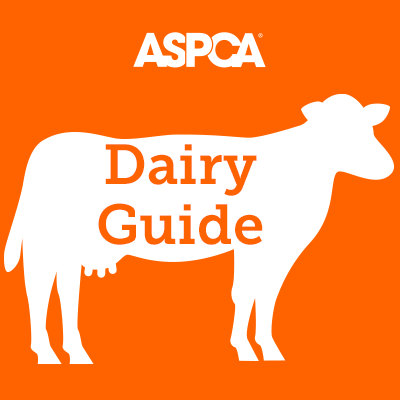 Dairy Guide