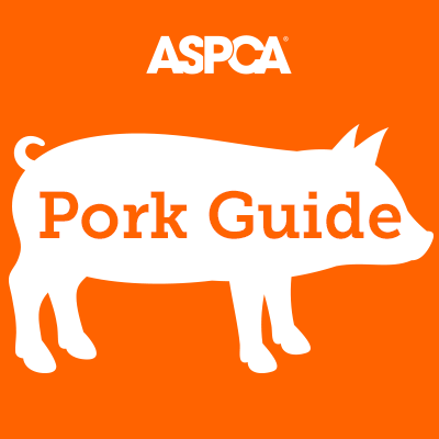 pork guide