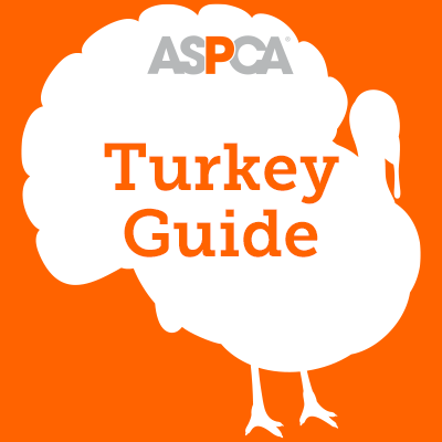 Turkey Label Guide